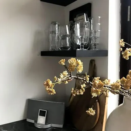 Near Amsterdam And Airport, 90m2, Privacy! *